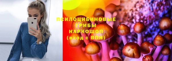 spice Волоколамск