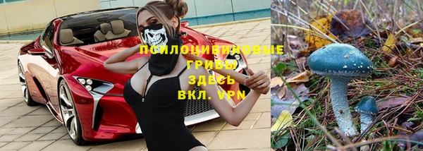 spice Волоколамск