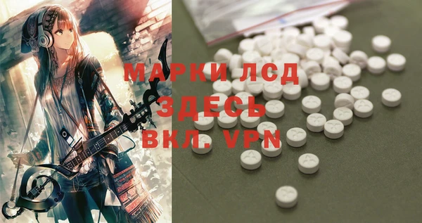 spice Волоколамск